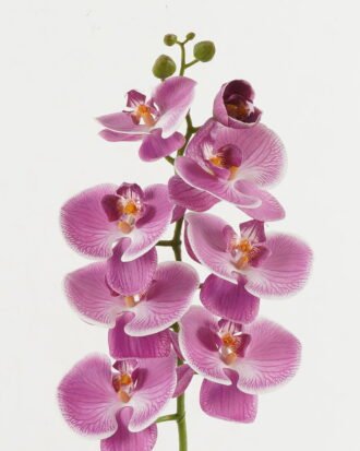 Artificial Flower 18*96cm Phalaenopsis single stem GS-68622007-Z1 Single Flowers YeahFlower is one of Chinese leading OEM manufacturers and exporters , supplying the silk flowers, wholesale artificial trees