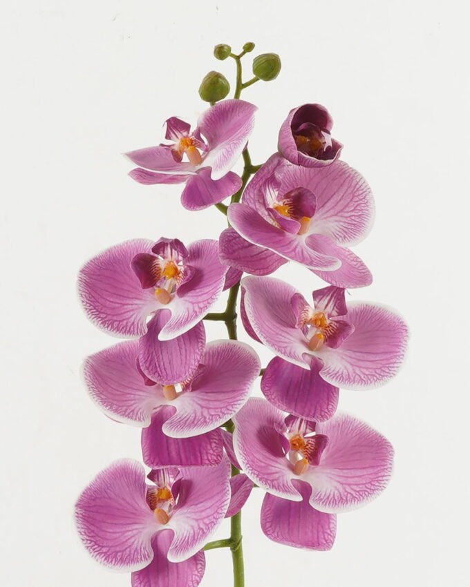 Artificial Flower 18*96cm Phalaenopsis single stem GS-68622007-Z1 Single Flowers YeahFlower is one of Chinese leading OEM manufacturers and exporters , supplying the silk flowers, wholesale artificial trees