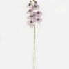 Artificial Flower 18*96cm Phalaenopsis single stem GS-68622007-Z3 Single Flowers YeahFlower is one of Chinese leading OEM manufacturers and exporters , supplying the silk flowers, wholesale artificial trees