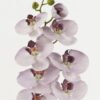 Artificial Flower 18*96cm Phalaenopsis single stem GS-68622007-Z3 Single Flowers YeahFlower is one of Chinese leading OEM manufacturers and exporters , supplying the silk flowers, wholesale artificial trees