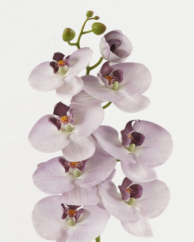 Artificial Flower 18*96cm Phalaenopsis single stem GS-68622007-Z3 Single Flowers YeahFlower is one of Chinese leading OEM manufacturers and exporters , supplying the silk flowers, wholesale artificial trees