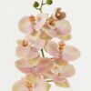 Artificial Flower 18*96cm Phalaenopsis single stem GS-68622007 Single Flowers YeahFlower is one of Chinese leading OEM manufacturers and exporters , supplying the silk flowers, wholesale artificial trees