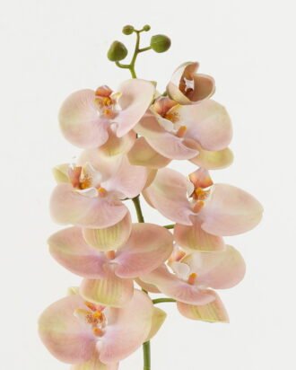 Artificial Flower 18*96cm Phalaenopsis single stem GS-68622007 Single Flowers YeahFlower is one of Chinese leading OEM manufacturers and exporters , supplying the silk flowers, wholesale artificial trees Artificial Flower 18*96cm Phalaenopsis single stem GS-68622007 Single Flowers YeahFlower is one of Chinese leading OEM manufacturers and exporters , supplying the silk flowers, wholesale artificial trees