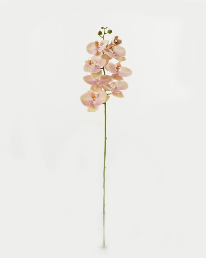 Artificial Flower 18*96cm Phalaenopsis single stem GS-68622007 Single Flowers YeahFlower is one of Chinese leading OEM manufacturers and exporters , supplying the silk flowers, wholesale artificial trees