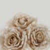 Artificial Flower 14*14*24cm Rose *3 bush GS-16822105 Bouquet YeahFlower is one of Chinese leading OEM manufacturers and exporters , supplying the silk flowers, wholesale artificial trees