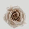Artificial Flower Rose single stem GS-16822104-C1_5 Artificial Flower 7*11cm Rose single stem GS-16822104-C1 Christmas Item YeahFlower is one of Chinese leading OEM manufacturers and exporters , supplying the silk flowers, wholesale artificial trees
