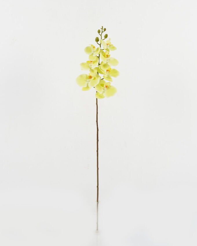 Artificial Flower 18*92CM Singel Orchid*7 GS-64921005-H021 Single Flowers YeahFlower is one of Chinese leading OEM manufacturers and exporters , supplying the silk flowers, wholesale artificial trees