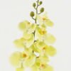 Artificial Flower 18*92CM Singel Orchid*7 GS-64921005-H021 Single Flowers YeahFlower is one of Chinese leading OEM manufacturers and exporters , supplying the silk flowers, wholesale artificial trees