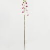 Artificial Flower 18*92CM Singel Orchid*7 GS-64921005-W1 Single Flowers YeahFlower is one of Chinese leading OEM manufacturers and exporters , supplying the silk flowers, wholesale artificial trees