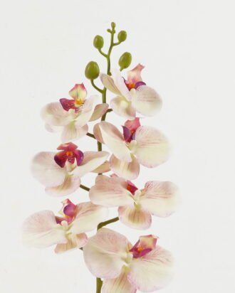 Artificial Flower 18*92CM Singel Orchid*7 GS-64921005-Y004 Single Flowers YeahFlower is one of Chinese leading OEM manufacturers and exporters , supplying the silk flowers, wholesale artificial trees