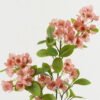 Artificial Flower 20*20*78cm Snowdome *2 single stem GS-26222055-P1 Single Flowers YeahFlower is one of Chinese leading OEM manufacturers and exporters , supplying the silk flowers, wholesale artificial trees