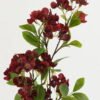 Artificial Flower 20*20*78cm Snowdome *2 single stem GS-26222055-R1 Single Flowers YeahFlower is one of Chinese leading OEM manufacturers and exporters , supplying the silk flowers, wholesale artificial trees