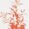 Artificial Plant 28*28*90cm Azalea leaf *6 single stem GS-17722059 Leaves&Sprays&Foliages YeahFlower is one of Chinese leading OEM manufacturers and exporters , supplying the silk flowers, wholesale artificial trees