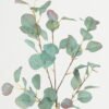 Artificial Plant 22*22*90cm Eucalyptus single stem GS-17722068 Leaves&Sprays&Foliages YeahFlower is one of Chinese leading OEM manufacturers and exporters , supplying the silk flowers, wholesale artificial trees