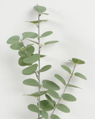Artificial Plant 15*15*52cm  Money leaf  single     stem GS-68922020CONTI Leaves&Sprays&Foliages YeahFlower is one of Chinese leading OEM manufacturers and exporters , supplying the silk flowers, wholesale artificial trees