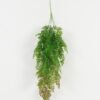 Artificial Plant 30*78cm Plant hanging GS-43222006 Leaves&Sprays&Foliages YeahFlower is one of Chinese leading OEM manufacturers and exporters , supplying the silk flowers, wholesale artificial trees
