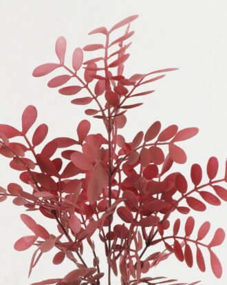 Artificial Plant 23*23*68cm Salvinia natans  single stem GS-05522101-R1 Leaves&Sprays&Foliages YeahFlower is one of Chinese leading OEM manufacturers and exporters , supplying the silk flowers, wholesale artificial trees