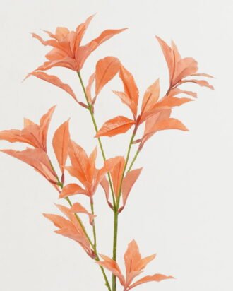 Artificial Plant 25*20*80cm leaf *2 single stem GS-29822066-O1 Leaves&Sprays&Foliages YeahFlower is one of Chinese leading OEM manufacturers and exporters , supplying the silk flowers, wholesale artificial trees