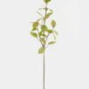 Artificial Plant 30*30*98cm  leaf single stem GS-26222062-G1 Leaves&Sprays&Foliages YeahFlower is one of Chinese leading OEM manufacturers and exporters , supplying the silk flowers, wholesale artificial trees