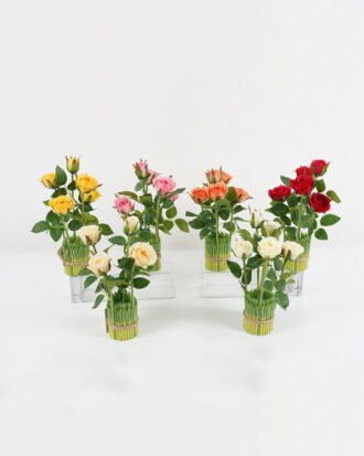 Artificial Plant 18*18*32cm rose *5 GS-69022009 Leaves&Sprays&Foliages YeahFlower is one of Chinese leading OEM manufacturers and exporters , supplying the silk flowers, wholesale artificial trees