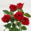 Artificial Table Plants rose 5 GS-69022009-R1_6 Artificial Table Plants 18*18*32cm rose *5 GS-69022009-R1 Potted Flowers&Plants YeahFlower is one of Chinese leading OEM manufacturers and exporters , supplying the silk flowers, wholesale artificial trees
