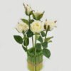 Artificial Table Plants 18*18*32cm rose *5 GS-69022009-W1 Potted Flowers&Plants YeahFlower is one of Chinese leading OEM manufacturers and exporters , supplying the silk flowers, wholesale artificial trees