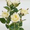 Artificial Table Plants 18*18*32cm rose *5 GS-69022009-W1 Potted Flowers&Plants YeahFlower is one of Chinese leading OEM manufacturers and exporters , supplying the silk flowers, wholesale artificial trees