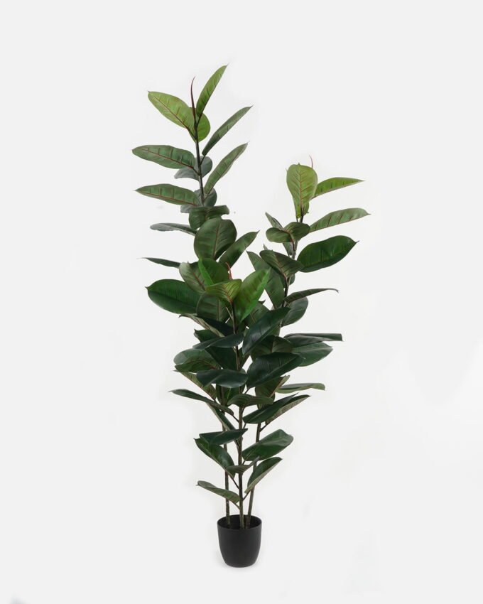 Artificial Tree 80*80*180cm Ficus elastica *3 in PP pot GS-30422132 Tree&Plant YeahFlower is one of Chinese leading OEM manufacturers and exporters , supplying the silk flowers, wholesale artificial trees