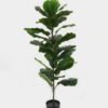 Artificial Tree 52*52*116cm Ficus lyrata in PP pot GS-30422131 Tree&Plant YeahFlower is one of Chinese leading OEM manufacturers and exporters , supplying the silk flowers, wholesale artificial trees