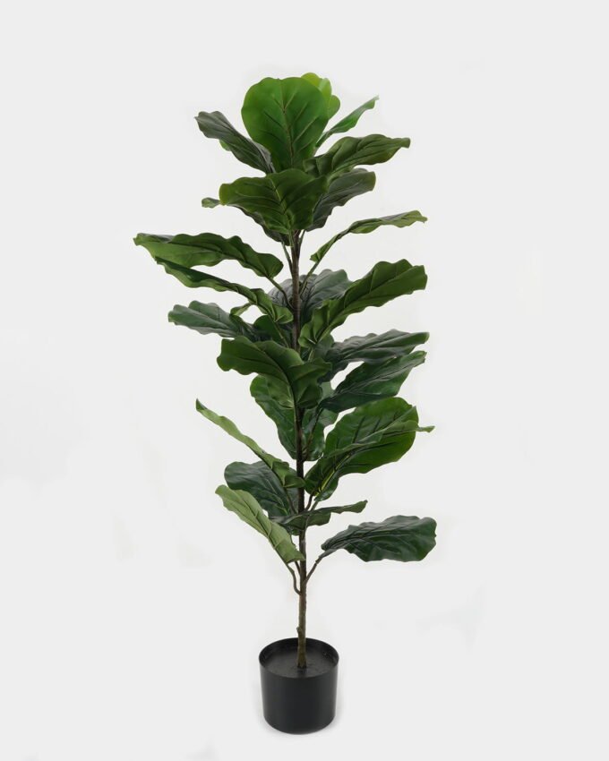Artificial Tree 52*52*116cm Ficus lyrata in PP pot GS-30422131 Tree&Plant YeahFlower is one of Chinese leading OEM manufacturers and exporters , supplying the silk flowers, wholesale artificial trees