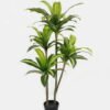 Artificial Tree 65*50*115cm Sago cycas *2 in PP pot GS-30422129 Tree&Plant YeahFlower is one of Chinese leading OEM manufacturers and exporters , supplying the silk flowers, wholesale artificial trees