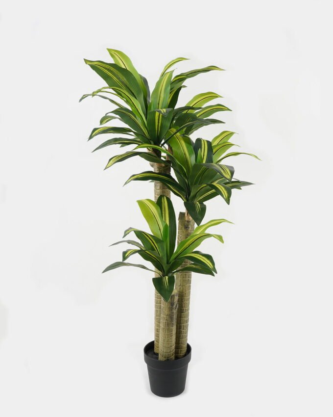 Artificial Tree 65*60*117cm Sago cycas *3 in PP pot GS-30422130 Tree&Plant YeahFlower is one of Chinese leading OEM manufacturers and exporters , supplying the silk flowers, wholesale artificial trees