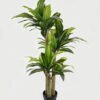 Artificial Tree 75*70*120cm Sago cycas *3 in PP pot GS-30422135 Tree&Plant YeahFlower is one of Chinese leading OEM manufacturers and exporters , supplying the silk flowers, wholesale artificial trees
