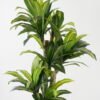 Artificial Tree 75*70*120cm Sago cycas *3 in PP pot GS-30422135 Tree&Plant YeahFlower is one of Chinese leading OEM manufacturers and exporters , supplying the silk flowers, wholesale artificial trees