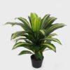 Artificial Tree 50*50*58cm Sago cycas in PP pot GS-30422128 Tree&Plant YeahFlower is one of Chinese leading OEM manufacturers and exporters , supplying the silk flowers, wholesale artificial trees
