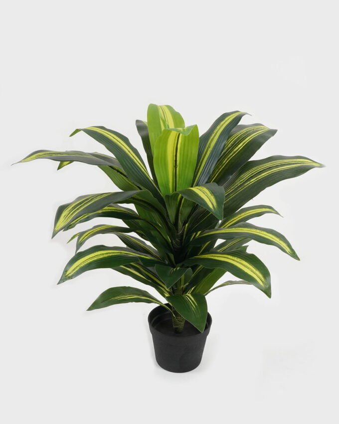 Artificial Tree 50*50*58cm Sago cycas in PP pot GS-30422128 Tree&Plant YeahFlower is one of Chinese leading OEM manufacturers and exporters , supplying the silk flowers, wholesale artificial trees