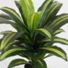 Artificial Tree 50*50*58cm Sago cycas in PP pot GS-30422128 Tree&Plant YeahFlower is one of Chinese leading OEM manufacturers and exporters , supplying the silk flowers, wholesale artificial trees