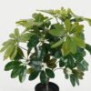 Artificial Tree 40*40*48cm Tree *2 in PP pot GS-30422138 Tree&Plant YeahFlower is one of Chinese leading OEM manufacturers and exporters , supplying the silk flowers, wholesale artificial trees