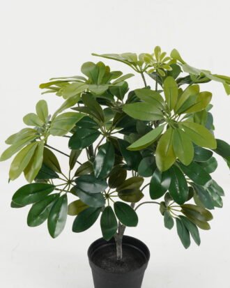 Artificial Tree 40*40*48cm Tree *2 in PP pot GS-30422138 Tree&Plant YeahFlower is one of Chinese leading OEM manufacturers and exporters , supplying the silk flowers, wholesale artificial trees