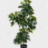 Artificial Tree 60*50*119cm Tree *5 in PP pot GS-30422136 Tree&Plant YeahFlower is one of Chinese leading OEM manufacturers and exporters , supplying the silk flowers, wholesale artificial trees