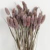 Dried Flowers 16*16*75cm Plant in PP bag(70g/bouquet) GS-56622062 Bouquet YeahFlower is one of Chinese leading OEM manufacturers and exporters , supplying the silk flowers, wholesale artificial trees