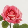 Artificial Flower Christmas Rose single stem GS-16823003_2 Artificial Flower 20*20*53cm Christmas Rose single stem GS-16823003 Christmas Item YeahFlower is one of Chinese leading OEM manufacturers and exporters , supplying the silk flowers, wholesale artificial trees