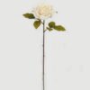 Artificial Flower Christmas Rose single stem GS-16823004-W1 Artificial Flower 20*20*53cm Christmas Rose single stem GS-16823004-W1 Christmas Item YeahFlower is one of Chinese leading OEM manufacturers and exporters , supplying the silk flowers, wholesale artificial trees
