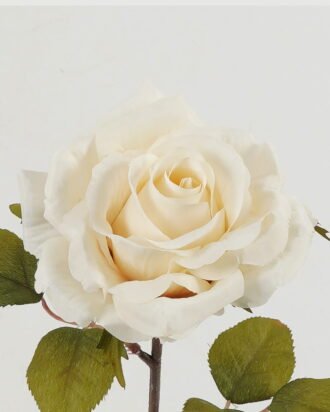 Artificial Flower 20*20*53cm Christmas Rose single stem GS-16823004-W1 Christmas Item YeahFlower is one of Chinese leading OEM manufacturers and exporters , supplying the silk flowers, wholesale artificial trees Artificial Flower 20*20*53cm Christmas Rose single stem GS-16823004-W1 Christmas Item YeahFlower is one of Chinese leading OEM manufacturers and exporters , supplying the silk flowers, wholesale artificial trees