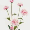 Artificial Flower 14*14*60cm Clove *6 single stem GS-16823006-P1 Single Flowers YeahFlower is one of Chinese leading OEM manufacturers and exporters , supplying the silk flowers, wholesale artificial trees
