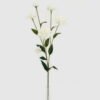 Artificial Flower 14*14*60cm Clove *6 single stem GS-16823006-W1 Single Flowers YeahFlower is one of Chinese leading OEM manufacturers and exporters , supplying the silk flowers, wholesale artificial trees