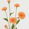 Artificial Flower Clove 6 single stem GS-16823006_2 Artificial Flower 14*14*60cm Clove *6 single stem GS-16823006 Single Flowers YeahFlower is one of Chinese leading OEM manufacturers and exporters , supplying the silk flowers, wholesale artificial trees