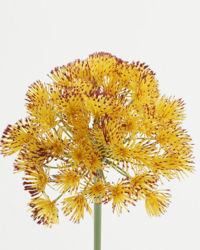 Artificial Flower 15*15*64cm Flower single stem GS-51623005-Y3 Single Flowers YeahFlower is one of Chinese leading OEM manufacturers and exporters , supplying the silk flowers, wholesale artificial trees