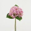 Artificial Flower Hydrangea 3 bush GS-15423008-P1 Artificial Flower 22*22*32cm Hydrangea *3 bush GS-15423008-P1 Bouquet YeahFlower is one of Chinese leading OEM manufacturers and exporters , supplying the silk flowers, wholesale artificial trees