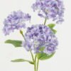 Artificial Flower Hydrangea 3 single stem GS-15423006-Z1_1 Artificial Flower 14*14*60cm Hydrangea *3 single stem GS-15423006-Z1 Single Flowers YeahFlower is one of Chinese leading OEM manufacturers and exporters , supplying the silk flowers, wholesale artificial trees
